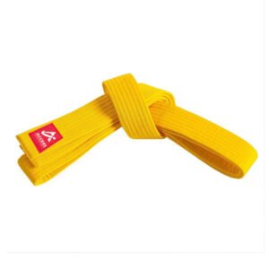 Karate Belt